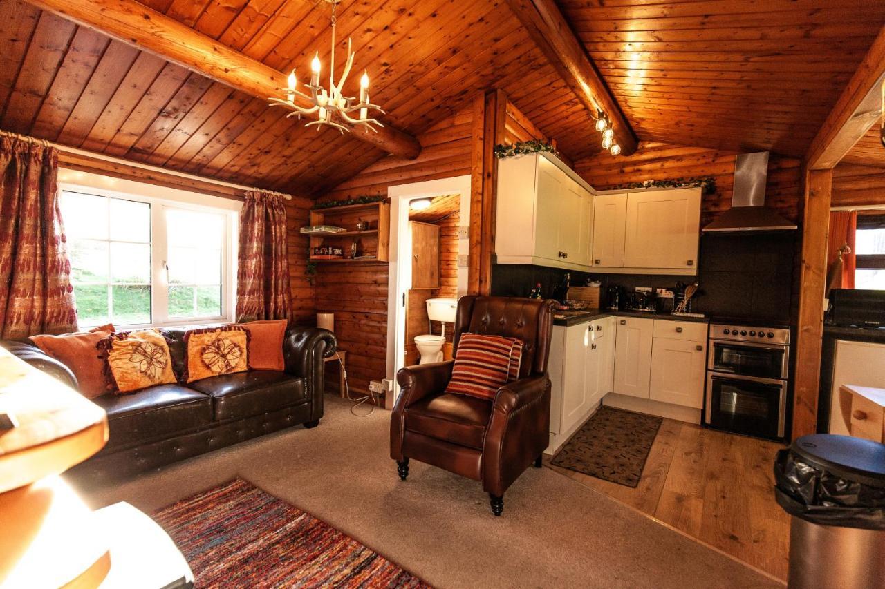 Trawsfynydd Stunning Log Cabin With Garden In Snowdonia - Hosted By Seren Short Stays מראה חיצוני תמונה