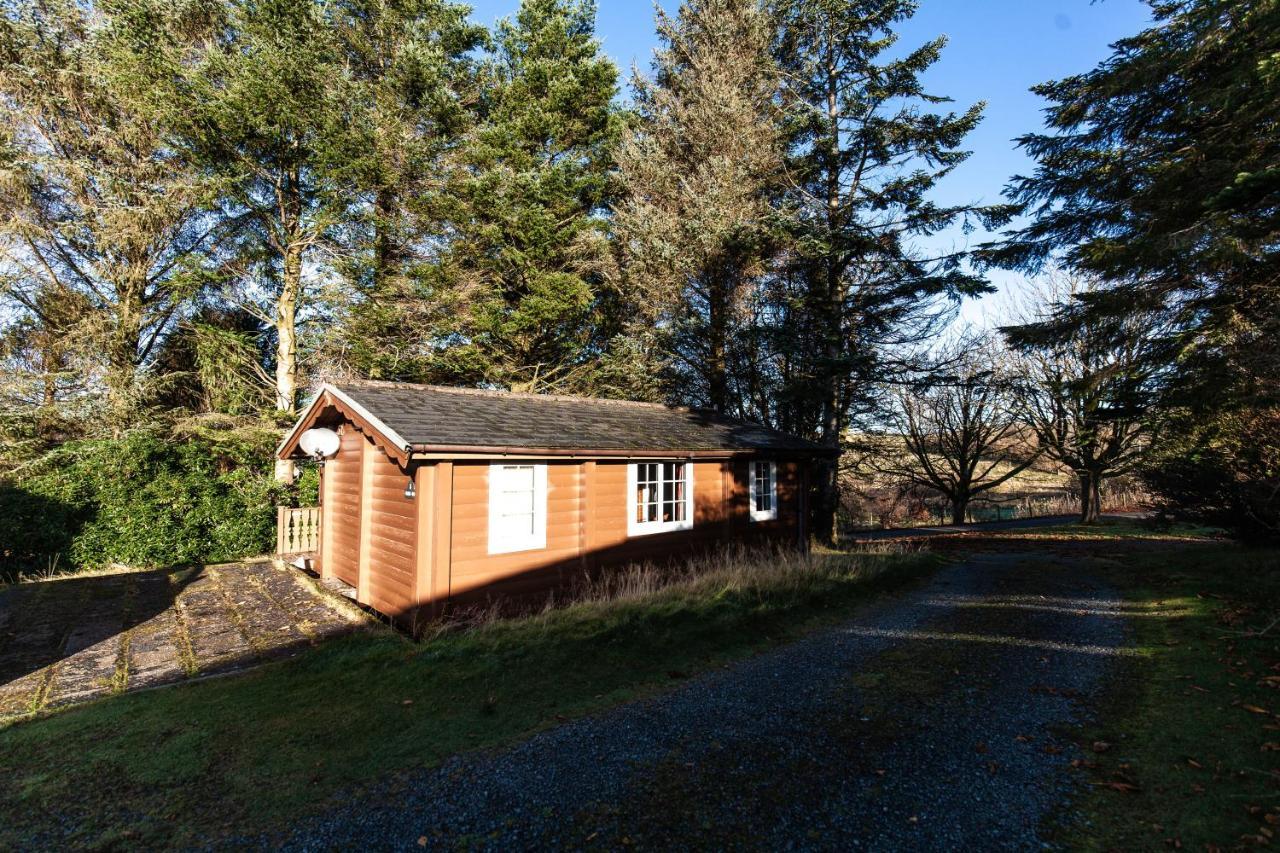 Trawsfynydd Stunning Log Cabin With Garden In Snowdonia - Hosted By Seren Short Stays מראה חיצוני תמונה